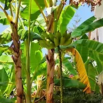 度假居 Haus Mit Traumhaftem Meerblick