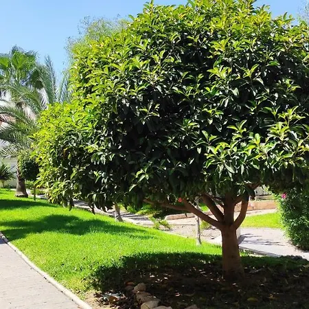 Haus Mit Traumhaftem Meerblick Casa vacanze Gran Alacant