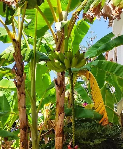 度假居 Haus Mit Traumhaftem Meerblick